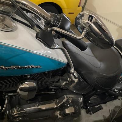 2017 Crushed Ice Pearl/Frosted Teal Softail Harley Davidson
