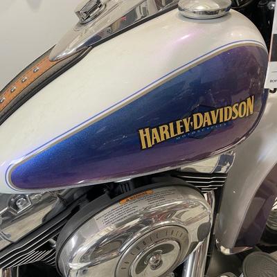 2010 Blue and white Softail Harley Davidson
