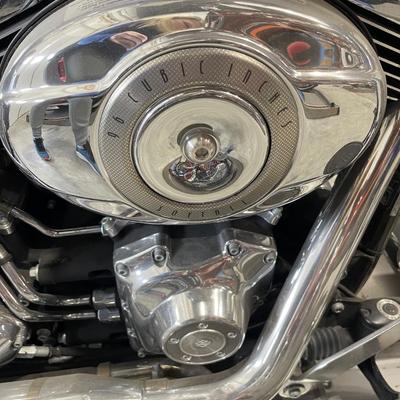 2010 Blue and white Softail Harley Davidson