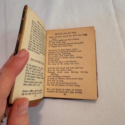 The Works of Poe, Hugo, Shakespeare and More Books (LR-DZ)