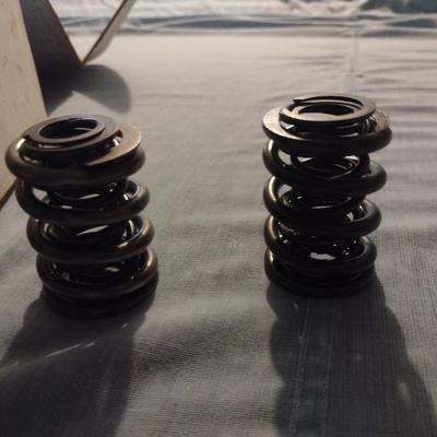 Various Brands Engine Valve Springs (6)