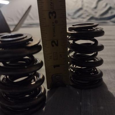 Various Brands Engine Valve Springs (6)
