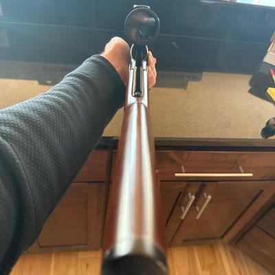 Henry Repeating Arms Co. 22 Rifle
