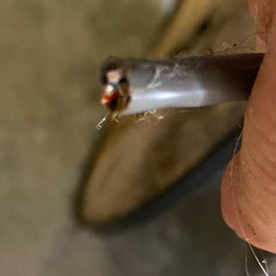 Roll of Wire