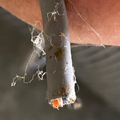 Roll of Wire