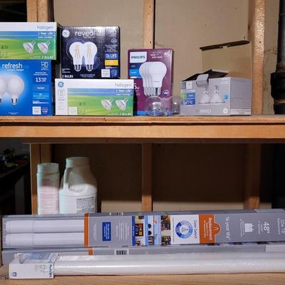 Lot of Various Light Bulbs