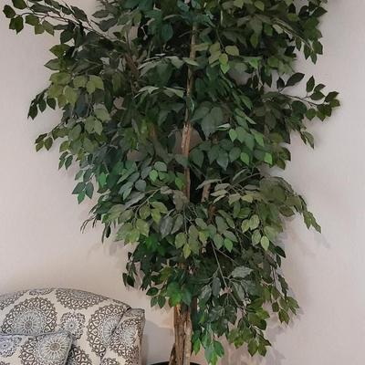 Artificial Fica Tree