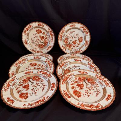 Copeland Spode Indian Tree China (DR-DZ)