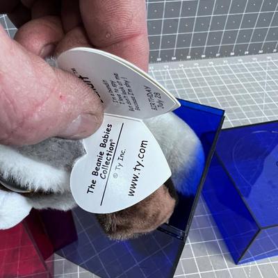 2 Beanie Baby Animals in Container with SPARKLE Eyes