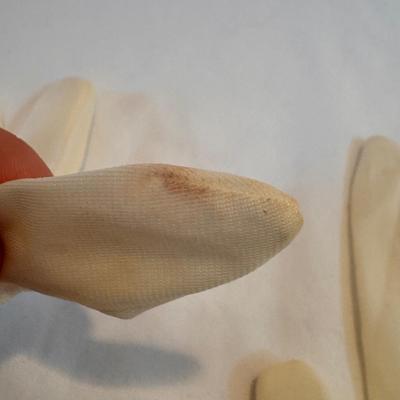 Collection of Women’s Gloves (PBC-DZ)