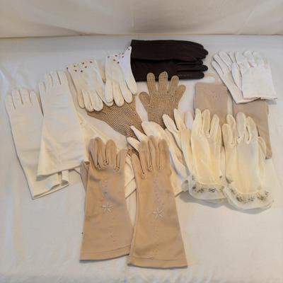 Collection of Women’s Gloves (PBC-DZ)