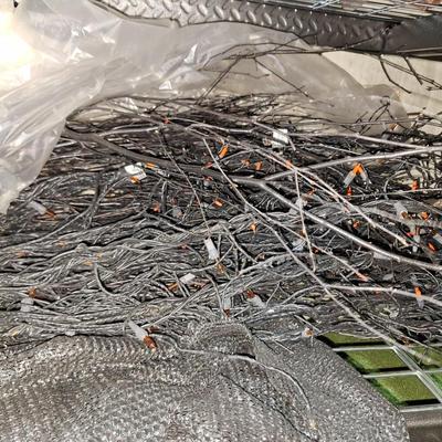 Lighted branch