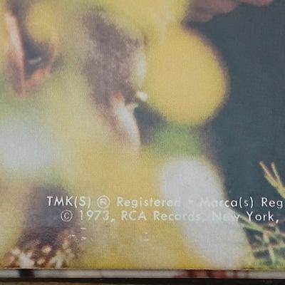 John Denver & The Eagles LP Albums two Great records!