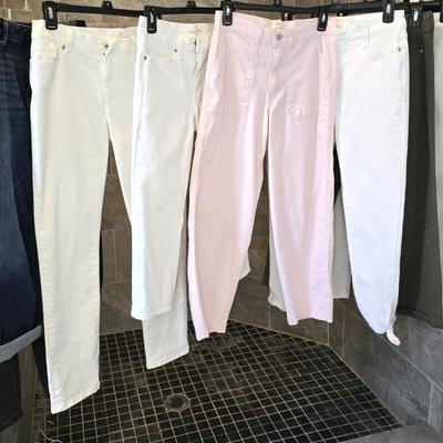 Lot of 10 Pants