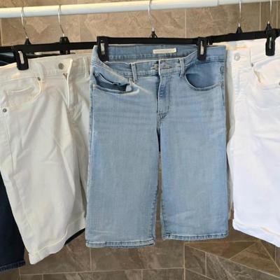 Lot of 10 Levis