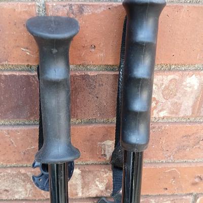 Two really nice hiking / walking sticks that are adjustable height Let's go Trekking togeher!