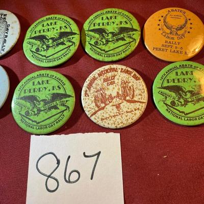 Abate Perry Lake Pins