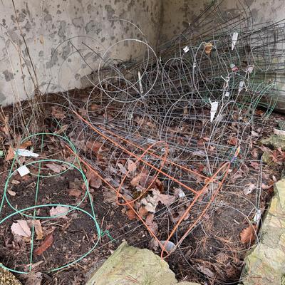Several Tomato Cages (BY-DZ)