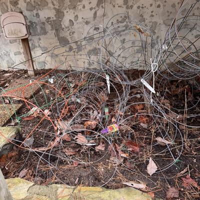 Several Tomato Cages (BY-DZ)