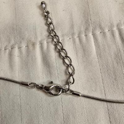 Beautiful Abolone pendent and chain