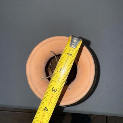 468 Down Under Terracotta Hanging Planter