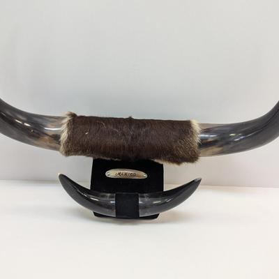 Vintage Dual Mounted Polished Bull Horns