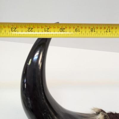 Vintage Dual Mounted Polished Bull Horns