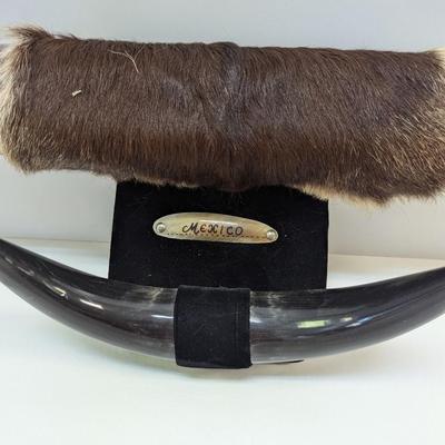 Vintage Dual Mounted Polished Bull Horns