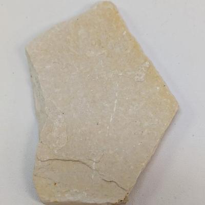 Fish Scale Fossil