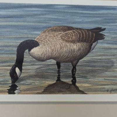 Don Pettigrew Framed Goose Print Approx 17 1/2" x 15 1/4"