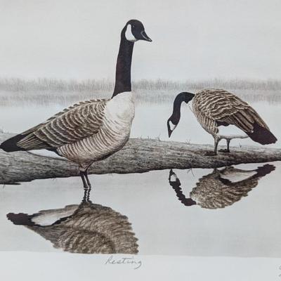 Don Pettigrew Framed Signed & Numbered Goose Print Approx 17 3/4" x 15"
