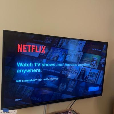 40” Vizio TV, Sony BluRay & DVDs (PB-MG)