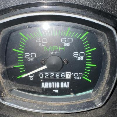 1981 Arctic Cat Jag 4000