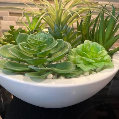 Decor with plastic succulents