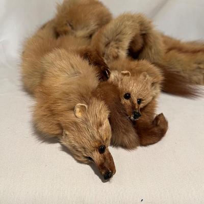 Four Fur Pelts Stole (BD-RG)