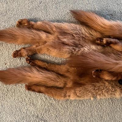 Four Fur Pelts Stole (BD-RG)