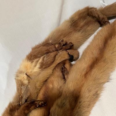 Four Fur Pelts Stole (BD-RG)