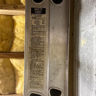 Extension Ladder (BWS-RG)