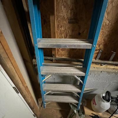 Werner 8ft Ladder (BWS-RG)