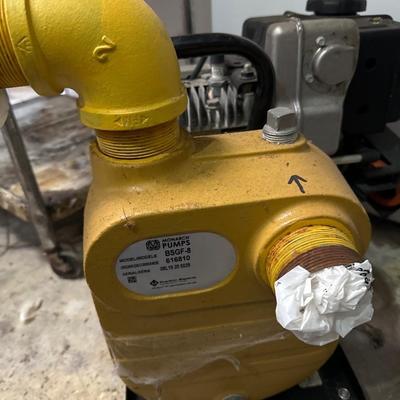 Monarch water pump