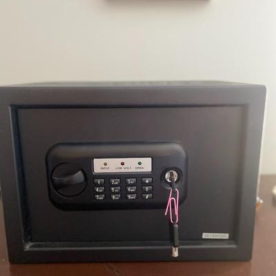 Bulldog Vault Safe