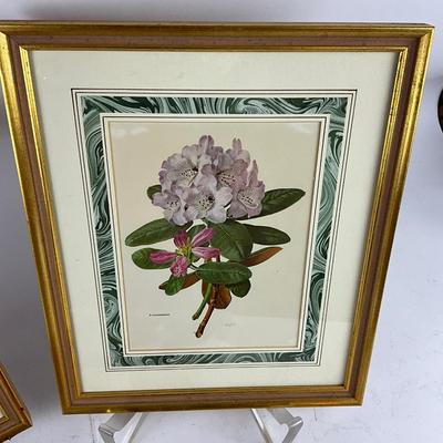 778 Total of Three Prints; Two Botanical Prints & One Woman Print