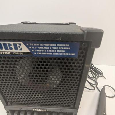Roland Cube Monitor CM-30 2 Way Speaker