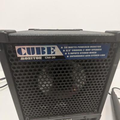 Roland Cube Monitor CM-30 2 Way Speaker