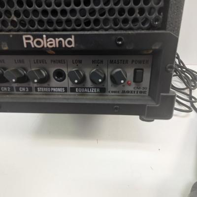 Roland Cube Monitor CM-30 2 Way Speaker