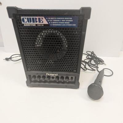 Roland Cube Monitor CM-30 2 Way Speaker