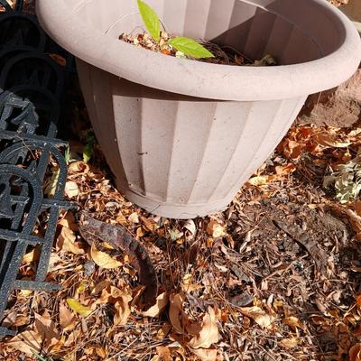 9 black connecting plastic fence pieces with a large flowerpot