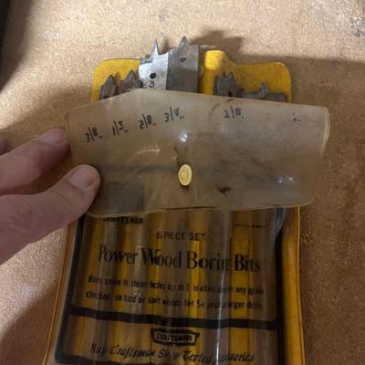 Porter Cable 20V Cordless Drill & Drill Bits (BWS-MG)