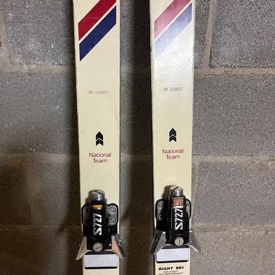 Kastle RX National Team Skis (BWS-MG)