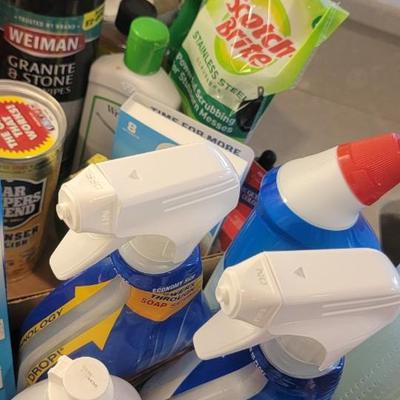 Miscellaneous cleaning supplies